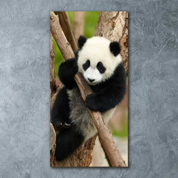 Staand foto op plexiglas Panda in een boom