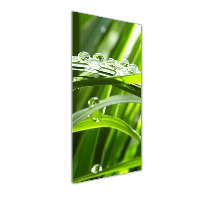 Staand plexiglas foto grassprieten