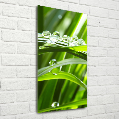 Staand plexiglas foto grassprieten