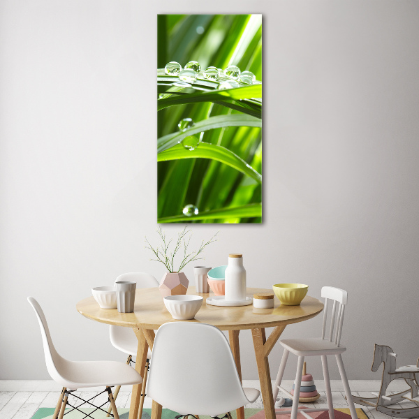 Staand plexiglas foto grassprieten