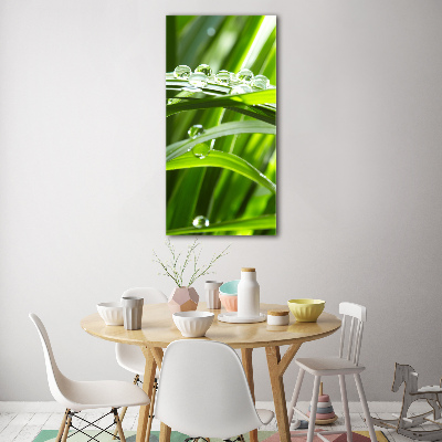 Staand plexiglas foto grassprieten