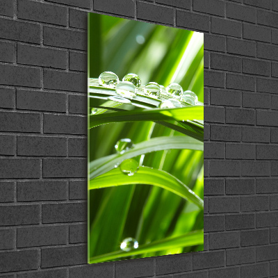 Staand plexiglas foto grassprieten