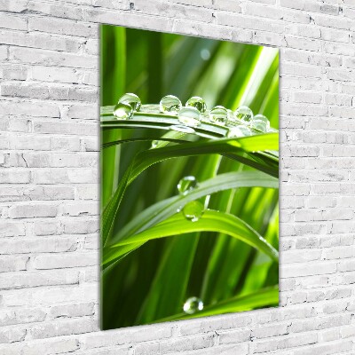 Staand plexiglas foto grassprieten