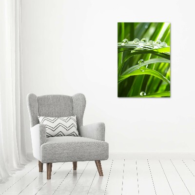 Staand plexiglas foto grassprieten
