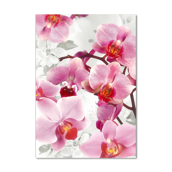 Staand foto in plexiglas Roze orchidee