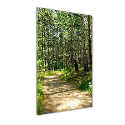 Staand foto plexiglas Berkenbos