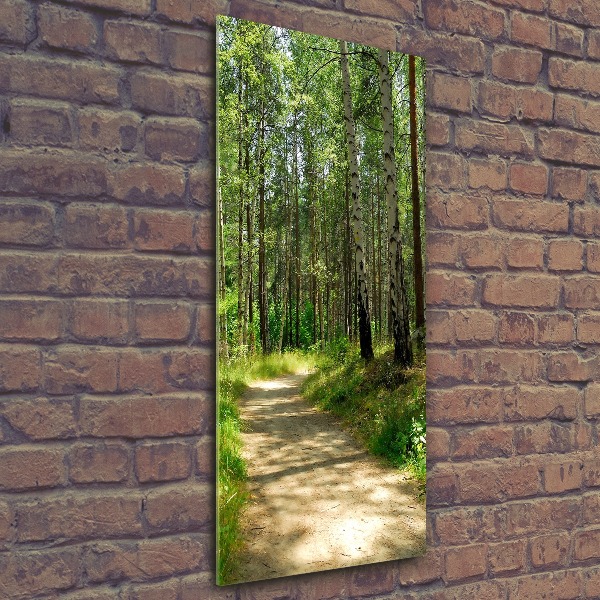 Staand foto plexiglas Berkenbos