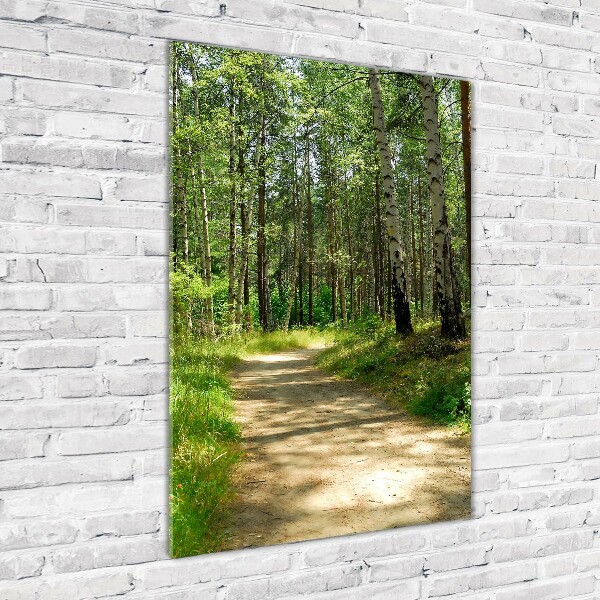 Staand foto plexiglas Berkenbos