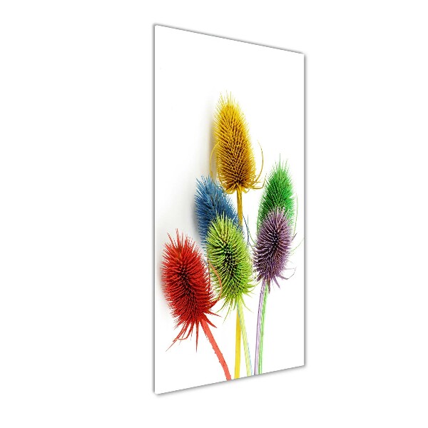 Staand plexiglas foto Distel