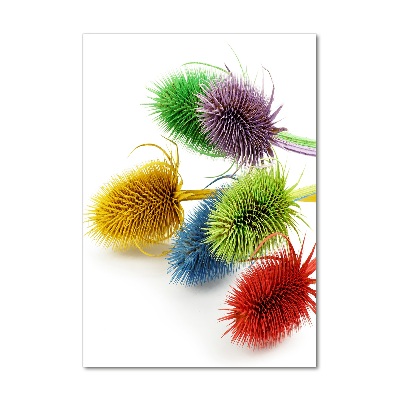 Staand plexiglas foto Distel