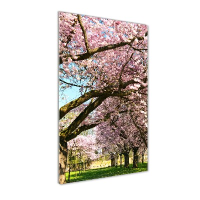 Staand foto op plexiglas Kersenbomen