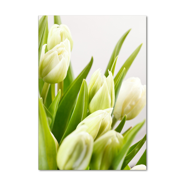 Staand foto op plexiglas Witte tulpen