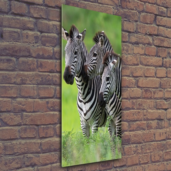 Staand plexiglas foto Drie zebra's
