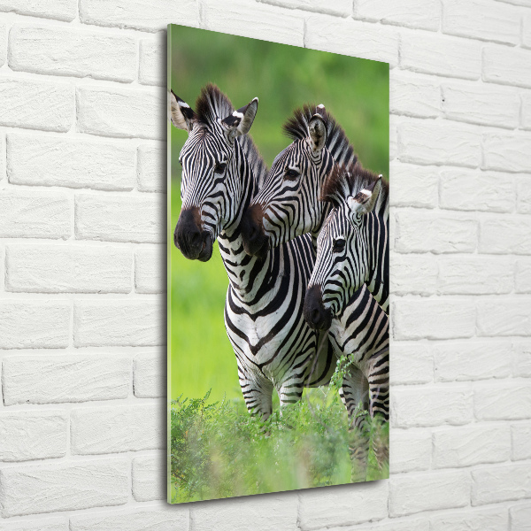Staand plexiglas foto Drie zebra's