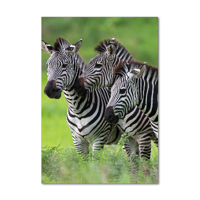 Staand plexiglas foto Drie zebra's