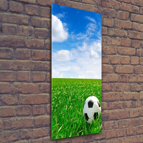 Staand foto op plexiglas Voetbal op het veld