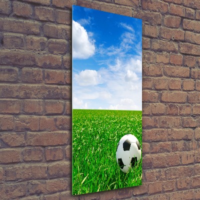 Staand foto op plexiglas Voetbal op het veld