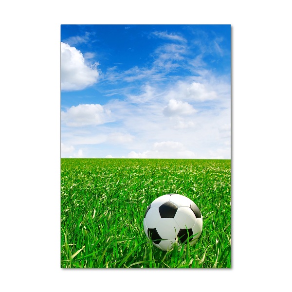 Staand foto op plexiglas Voetbal op het veld