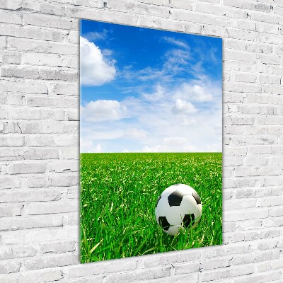 Staand foto op plexiglas Voetbal op het veld