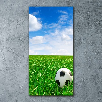 Staand foto op plexiglas Voetbal op het veld