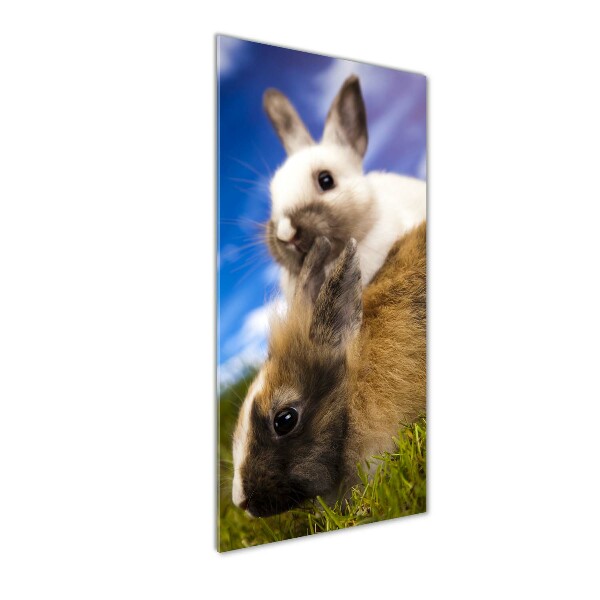 Staand foto plexiglas Twee konijnen
