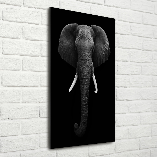 Staand foto in plexiglas Afrikaanse olifant