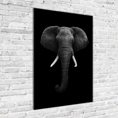 Staand foto in plexiglas Afrikaanse olifant