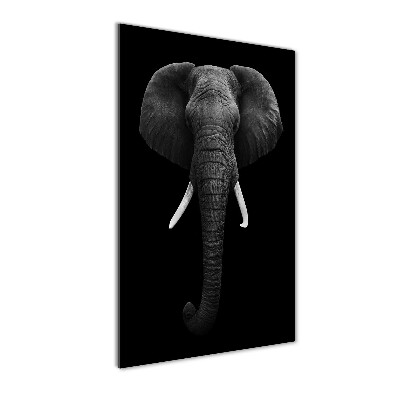 Staand foto in plexiglas Afrikaanse olifant