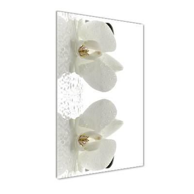 Staand foto in plexiglas Orchidee en stenen