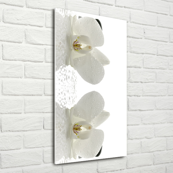 Staand foto in plexiglas Orchidee en stenen