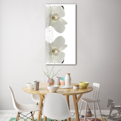Staand foto in plexiglas Orchidee en stenen