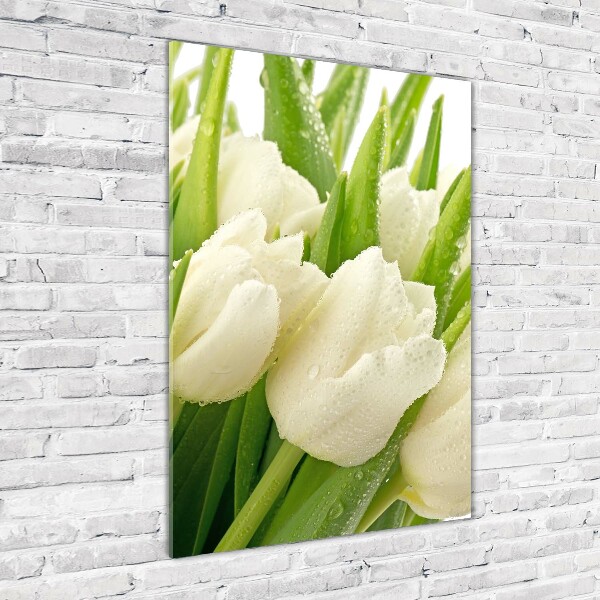 Staand foto op plexiglas Witte tulpen
