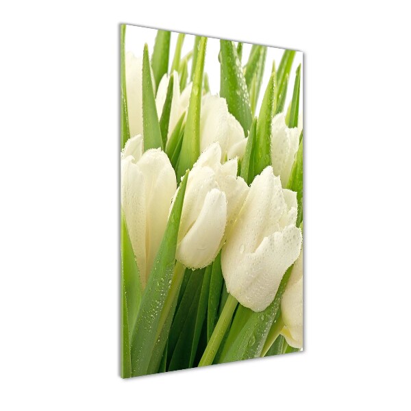Staand foto op plexiglas Witte tulpen