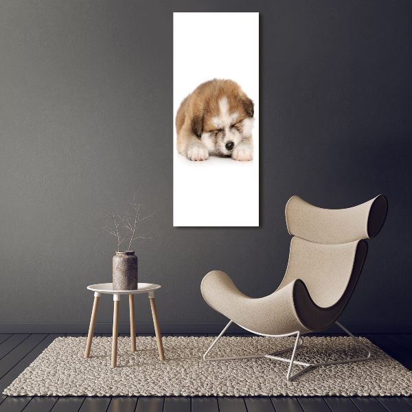 Staand foto op plexiglas Akita-puppy