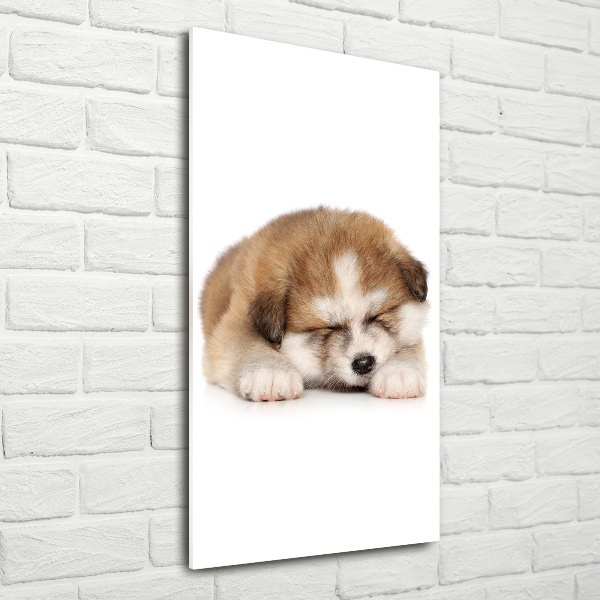 Staand foto op plexiglas Akita-puppy