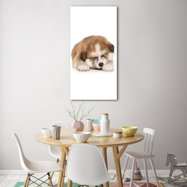 Staand foto op plexiglas Akita-puppy