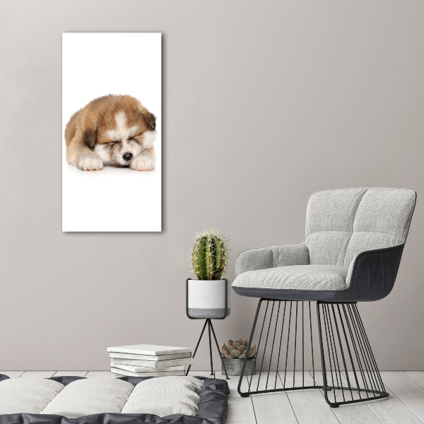 Staand foto op plexiglas Akita-puppy