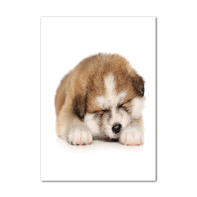 Staand foto op plexiglas Akita-puppy