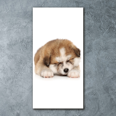 Staand foto op plexiglas Akita-puppy