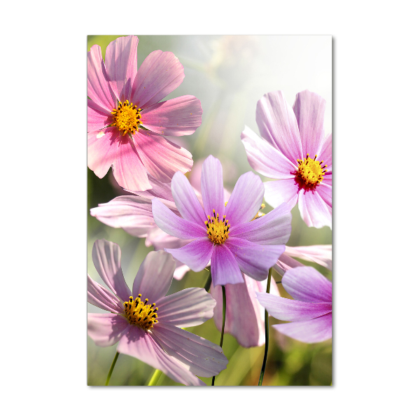 Staand plexiglas foto Wilde bloemen