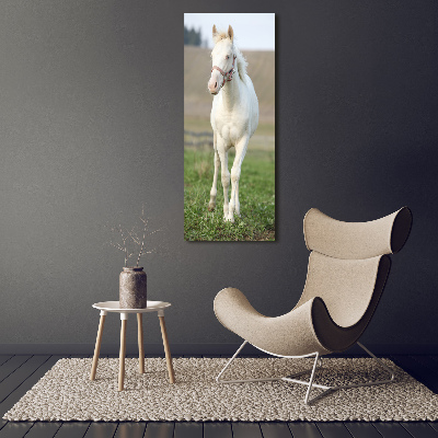 Staand plexiglas foto Albino paard