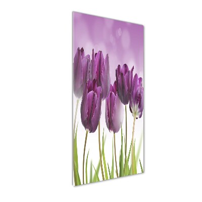 Staand plexiglas foto Paarse tulpen