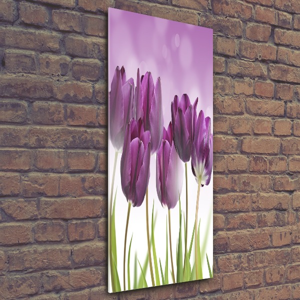 Staand plexiglas foto Paarse tulpen