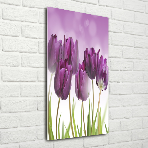 Staand plexiglas foto Paarse tulpen