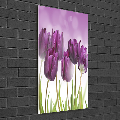Staand plexiglas foto Paarse tulpen