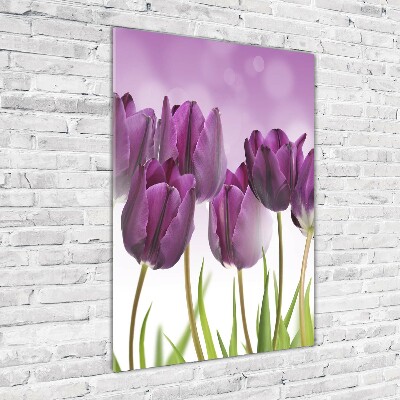 Staand plexiglas foto Paarse tulpen