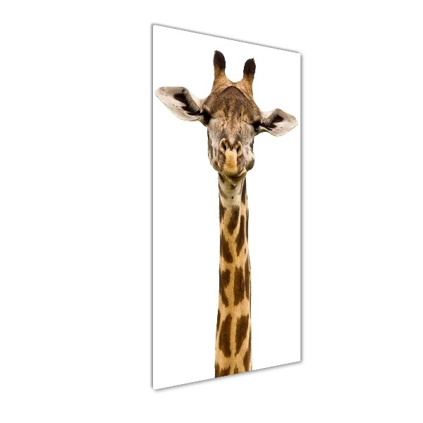 Staand foto op plexiglas Giraffe