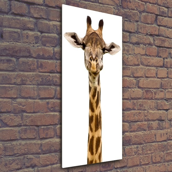 Staand foto op plexiglas Giraffe