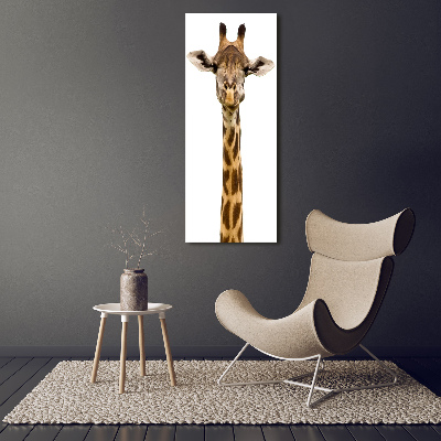 Staand foto op plexiglas Giraffe