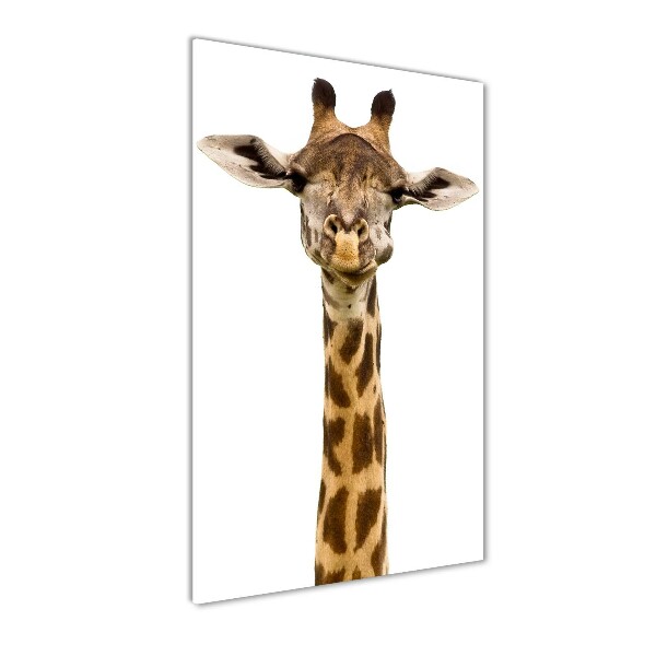 Staand foto op plexiglas Giraffe